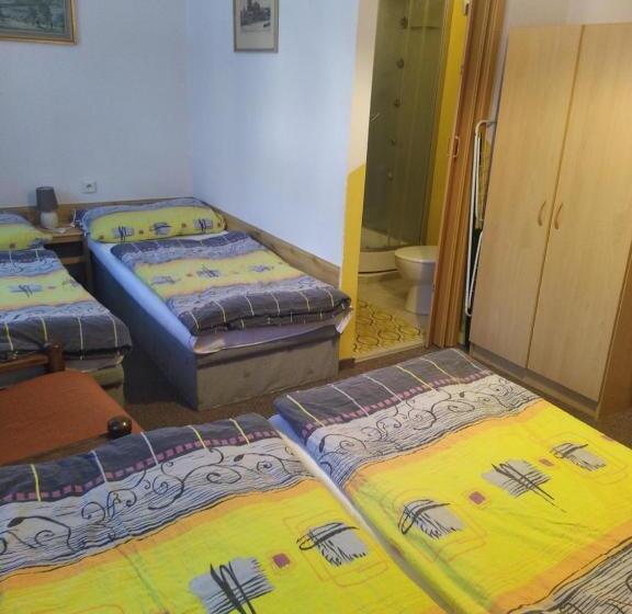 Panzió Penzion Borovice