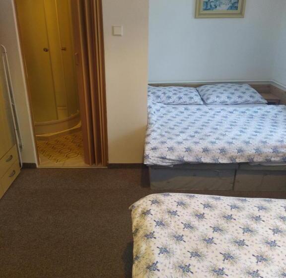 Panzió Penzion Borovice