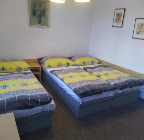 Panzió Penzion Borovice