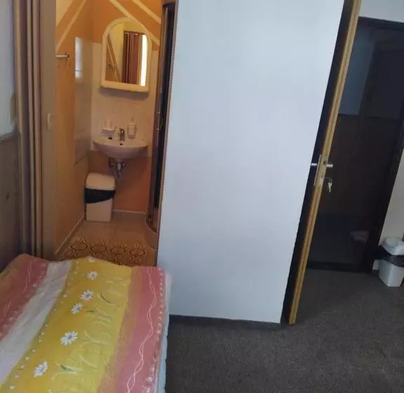 پانسیون Penzion Borovice