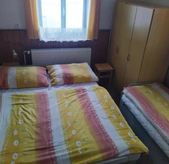 پانسیون Penzion Borovice