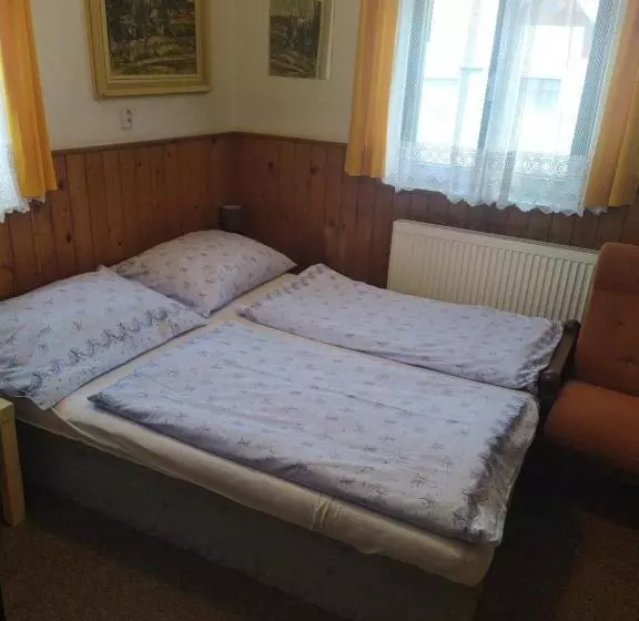 پانسیون Penzion Borovice