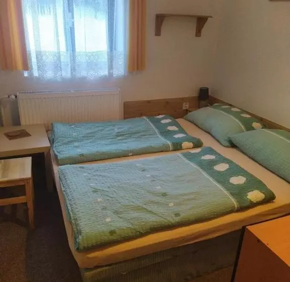 پانسیون Penzion Borovice