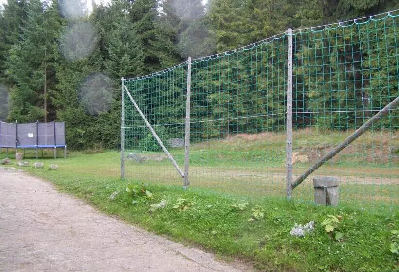 پانسیون Penzion Borovice