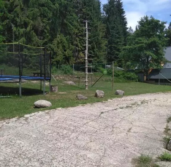 پانسیون Penzion Borovice