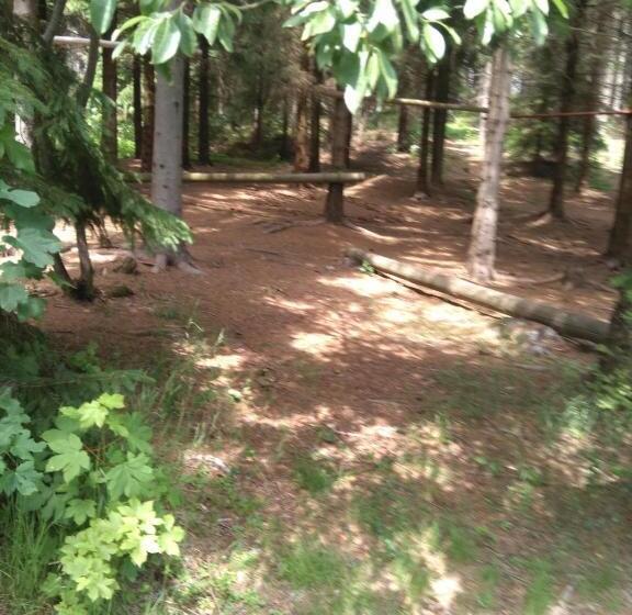 Panzió Penzion Borovice