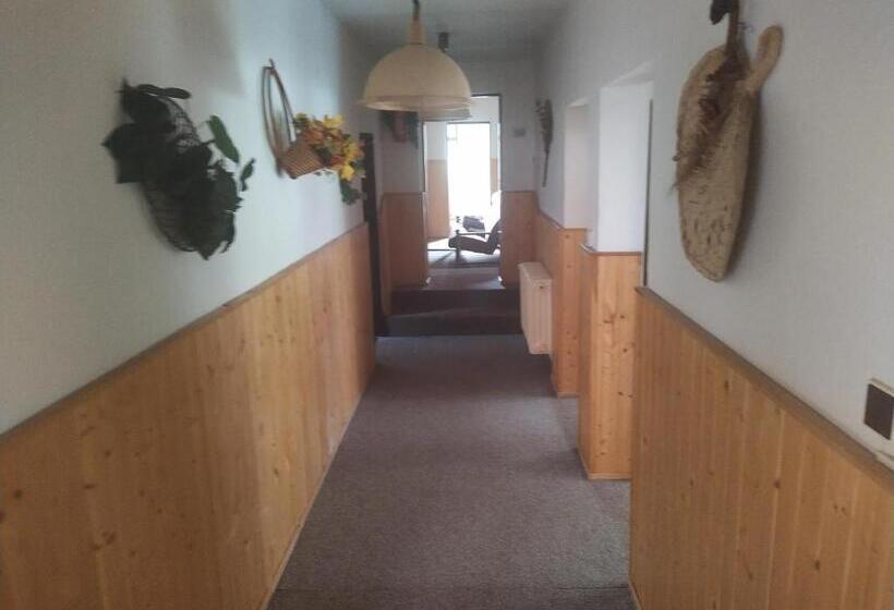 Panzió Penzion Borovice