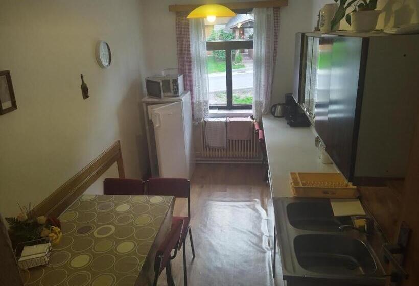 Panzió Penzion Borovice