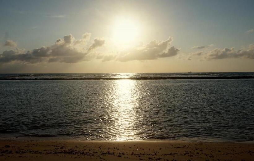 بنسيون Pousada Acácias Dos Corais