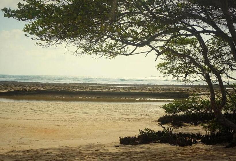 بنسيون Pousada Acácias Dos Corais