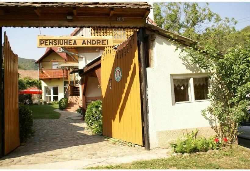 Pensiunea Andrei Sibiel