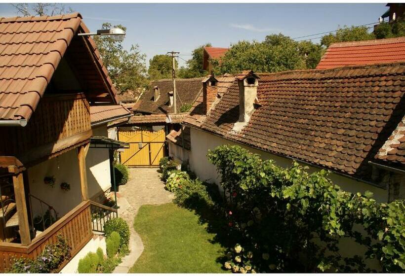 Pensiunea Andrei Sibiel