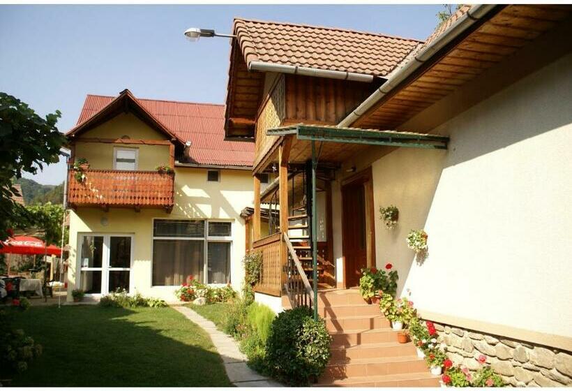 Pensiunea Andrei Sibiel