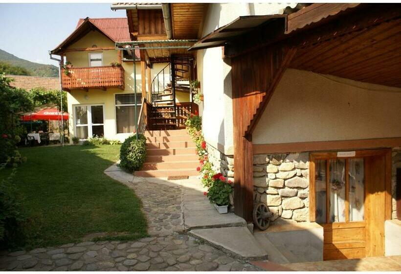 Pensiunea Andrei Sibiel