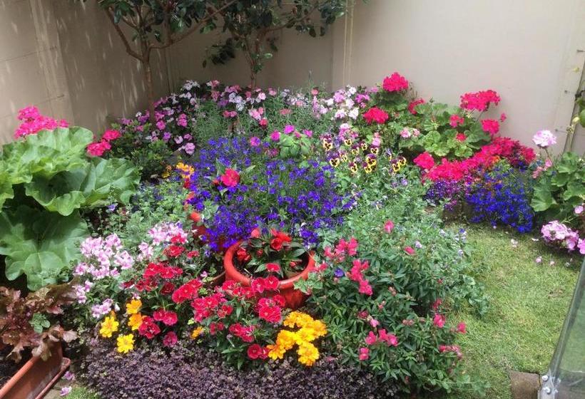 민박 Albert Mews B And B