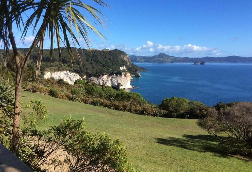 민박 Albert Mews B And B