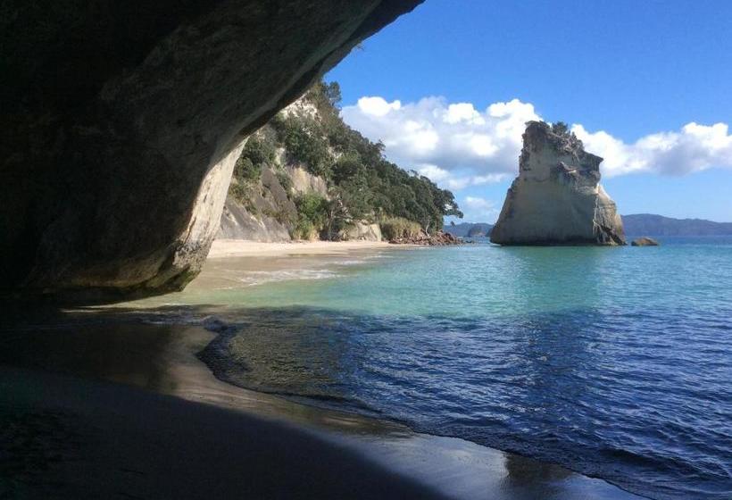 민박 Albert Mews B And B