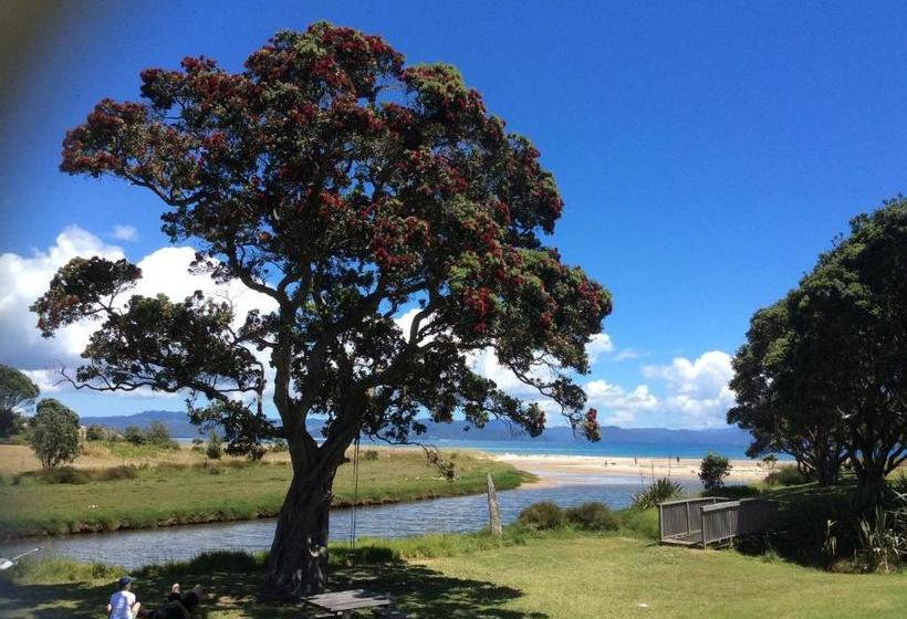 민박 Albert Mews B And B