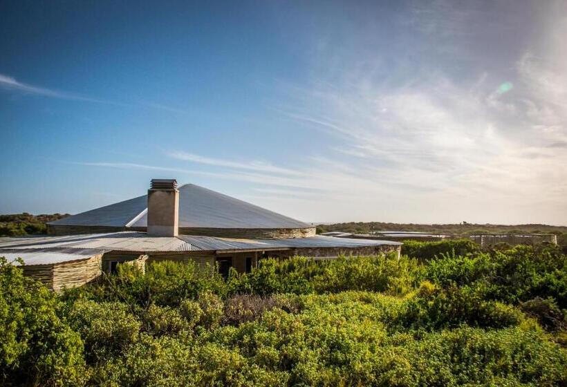 مبيت وإفطار Grootvlei Guest Farm