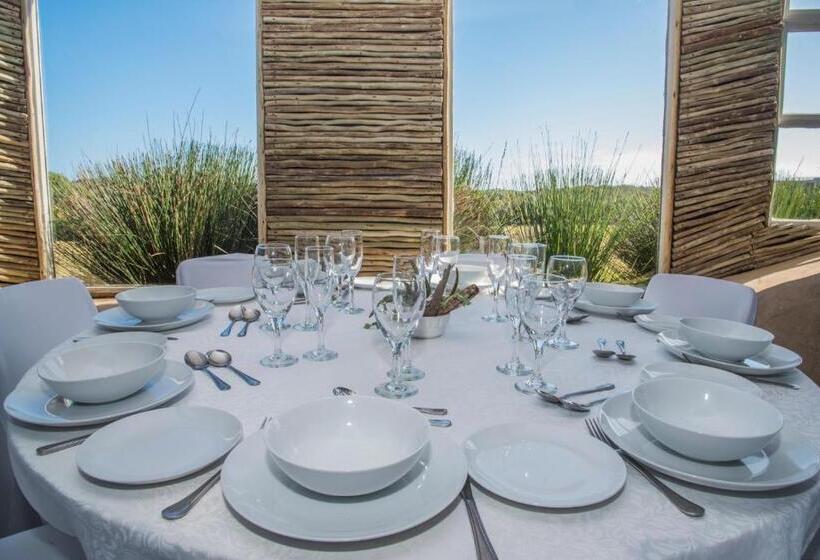 مبيت وإفطار Grootvlei Guest Farm