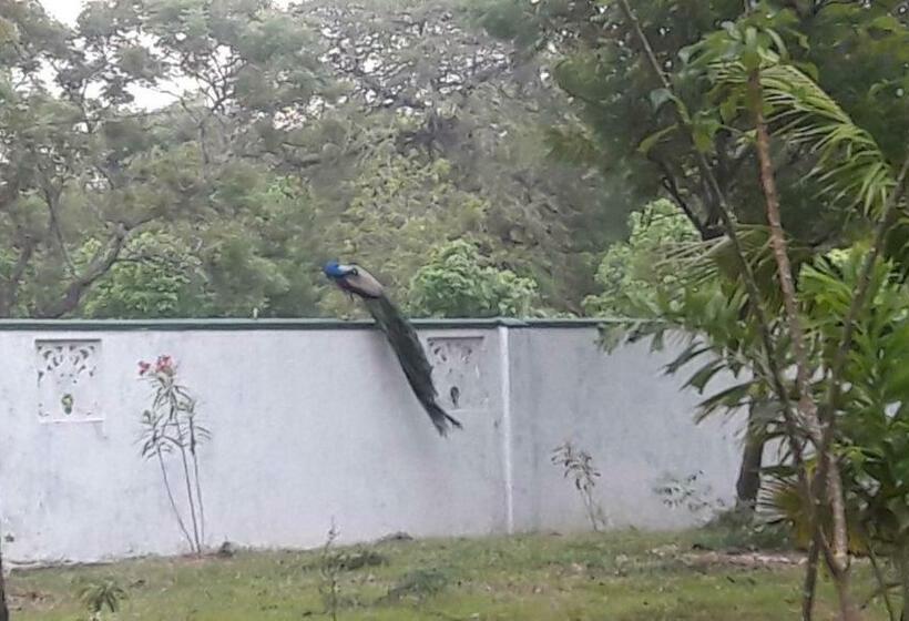 Bed and Breakfast Wild View Stay