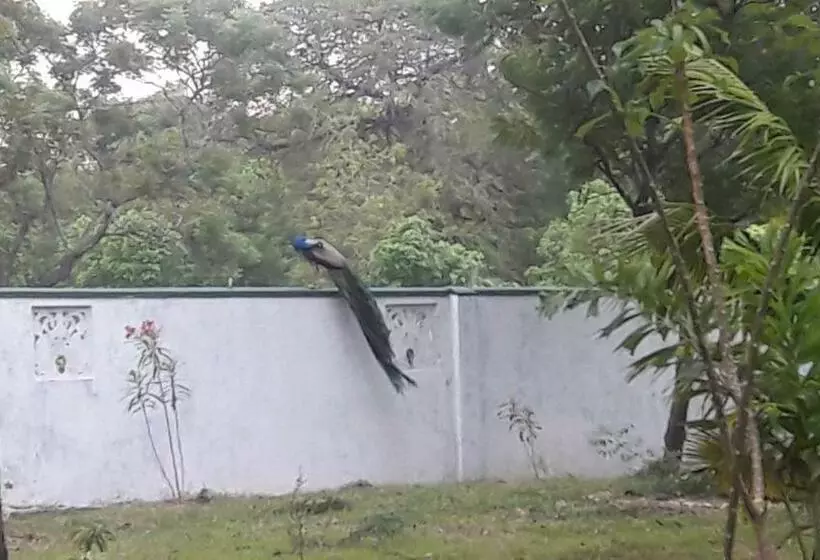 ベッドアンドブレックファースト Wild View Stay