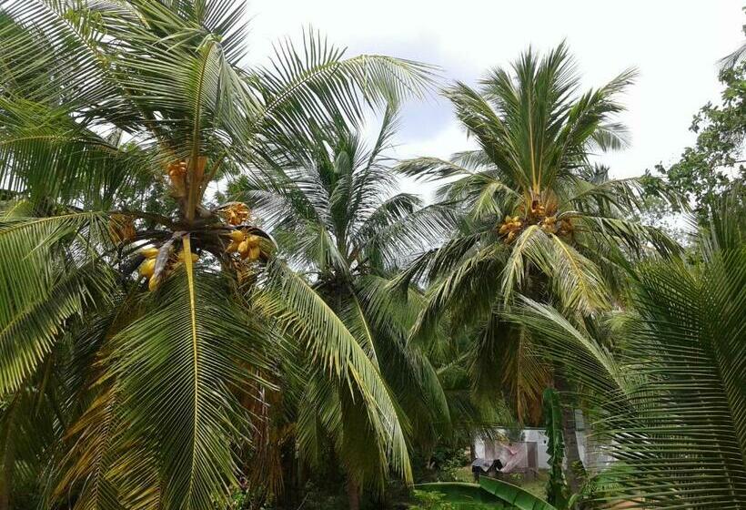 Bed and Breakfast Wild View Stay