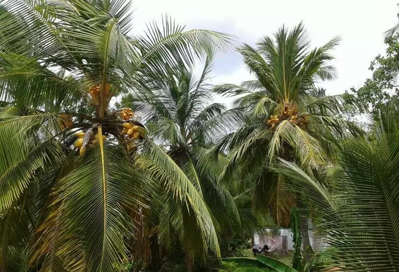 ベッドアンドブレックファースト Wild View Stay