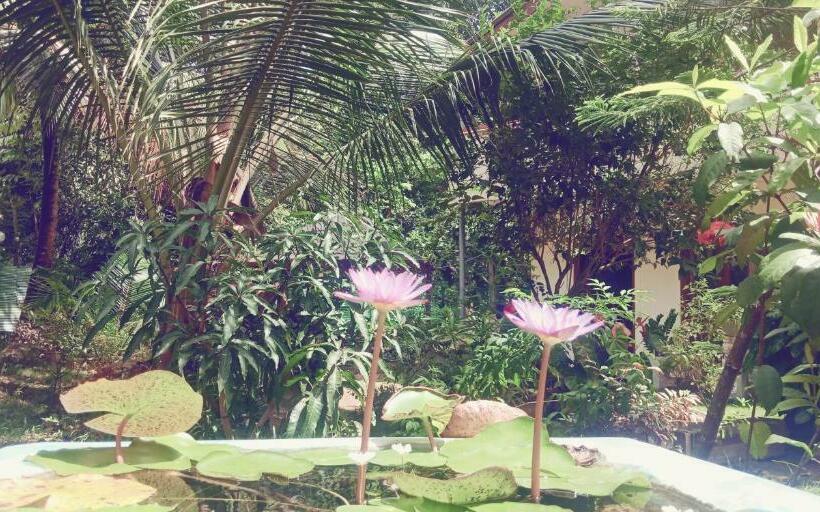 Bed and Breakfast Wild View Stay