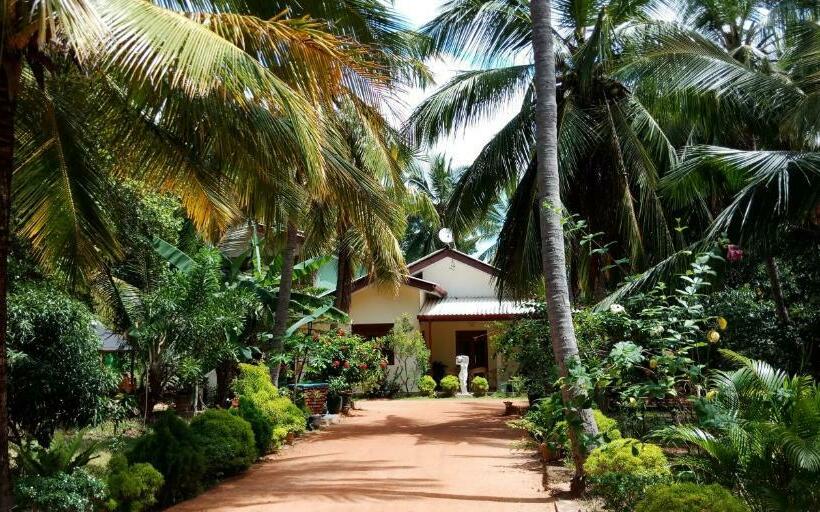 Bed and Breakfast Wild View Stay