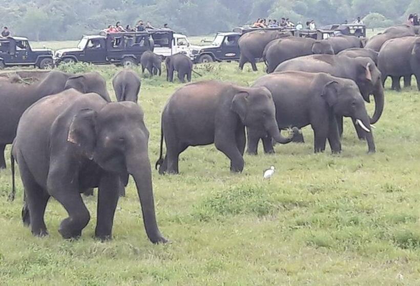 Bed and Breakfast Wild View Stay