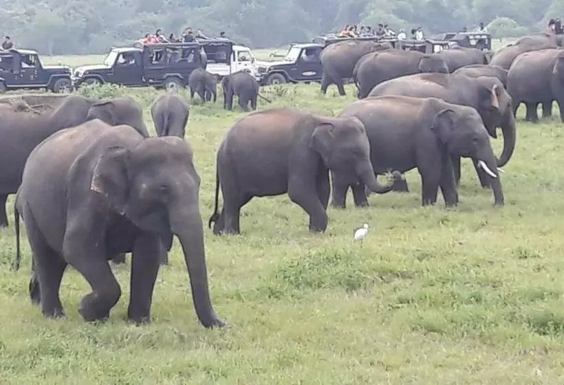 ベッドアンドブレックファースト Wild View Stay