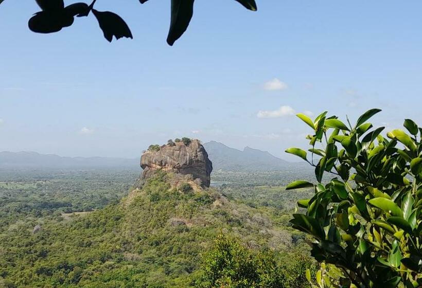 Bed and Breakfast Wild View Stay