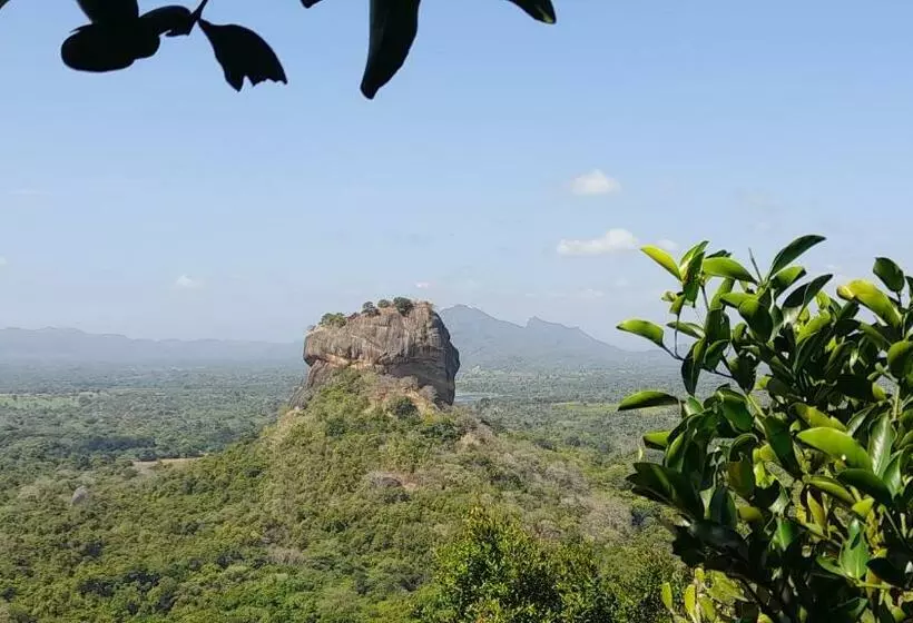 ベッドアンドブレックファースト Wild View Stay