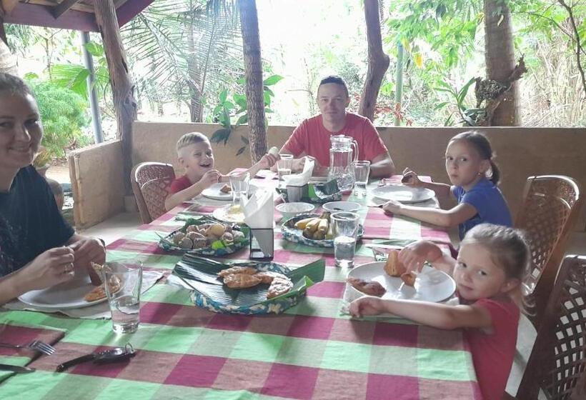 Bed and Breakfast Wild View Stay