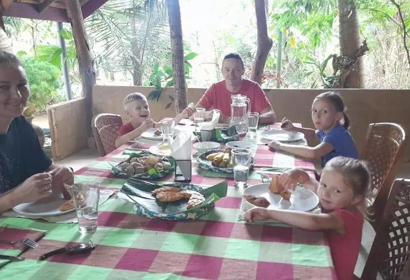 ベッドアンドブレックファースト Wild View Stay