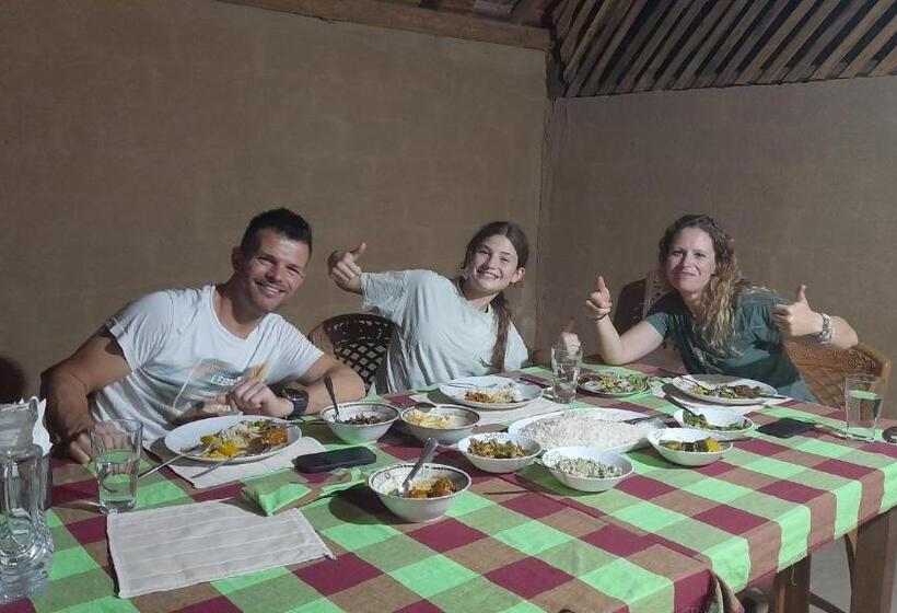 Bed and Breakfast Wild View Stay