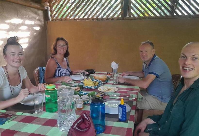 Bed and Breakfast Wild View Stay