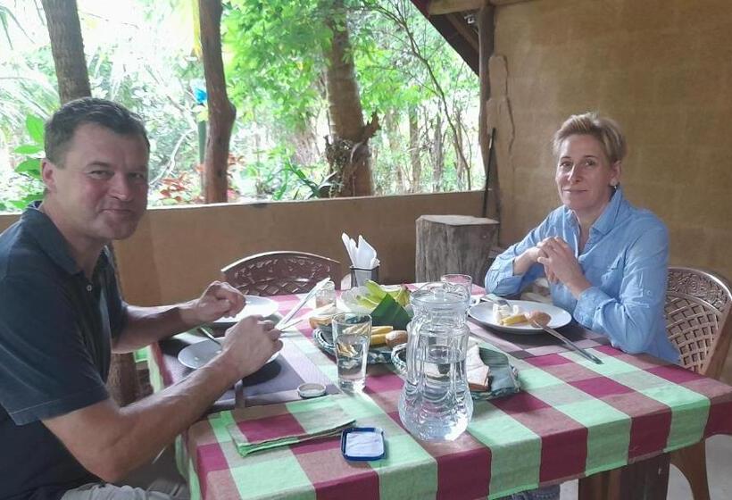 Bed and Breakfast Wild View Stay