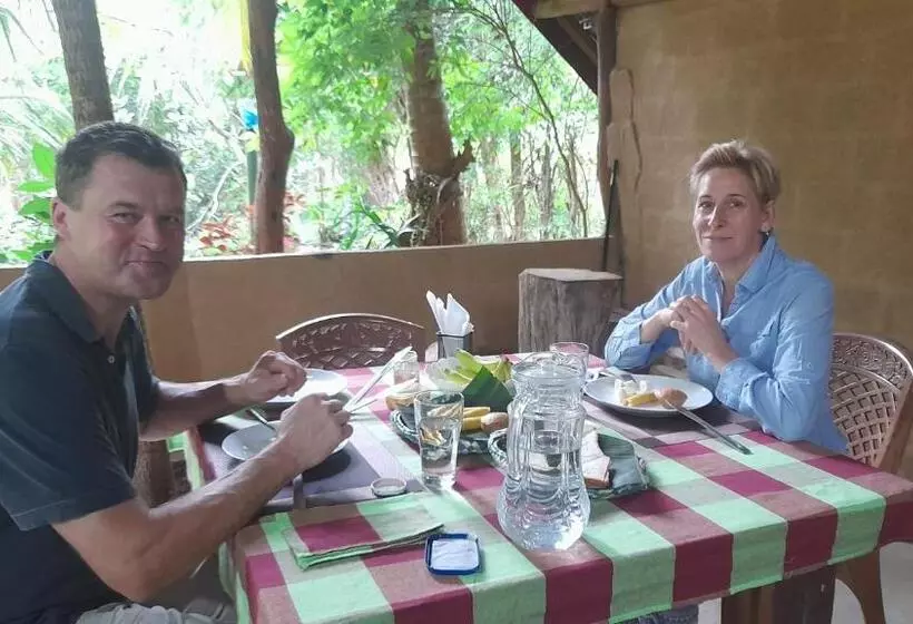 ベッドアンドブレックファースト Wild View Stay