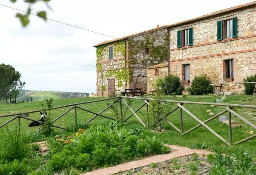 ホテル Agriturismo Il Rigo