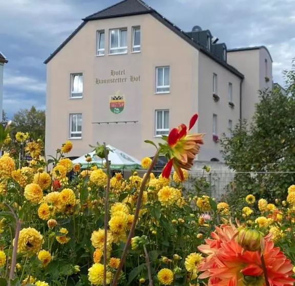 ホテル Haunstetter Hof Augsburg