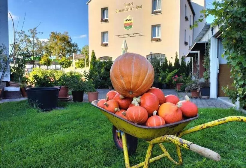 ホテル Haunstetter Hof Augsburg