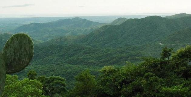 בית מלון כפרי San Jose