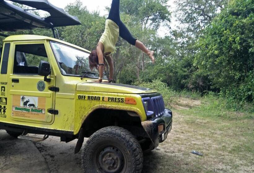 Pensiune Chill House Safari Resort