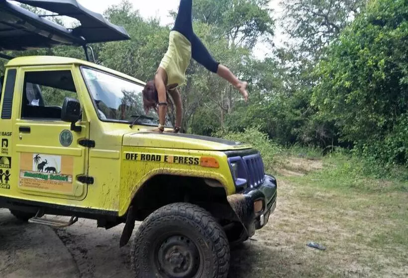 Majatalo Chill House Safari Resort