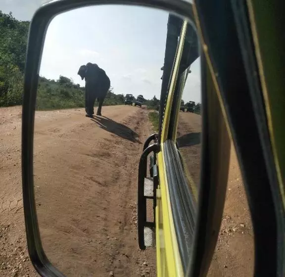 Majatalo Chill House Safari Resort