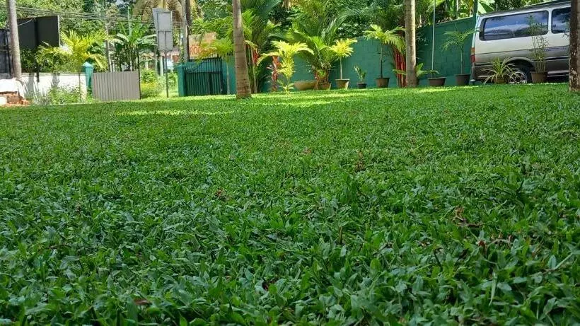 تختخواب و صبحانه Elephant Reach Villa Pinnawala