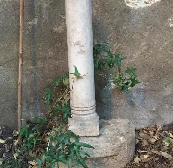 ベッドアンドブレックファースト Face Au Palais