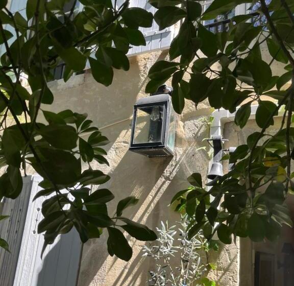 Bed and Breakfast Face Au Palais